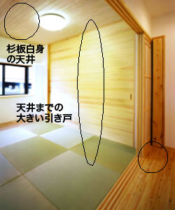 写真6